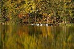 Herbstliche Stimmung am Krummsee / Malente