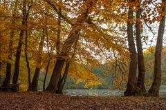 Herbstliche Stimmung am See