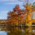 Herbstliche Stimmung am See im Westpark München