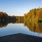 Herbstliche Stimmung am späten Nachmittag.