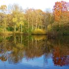 Herbstliche Stimmung am Teich in der Ohligser Heide ...