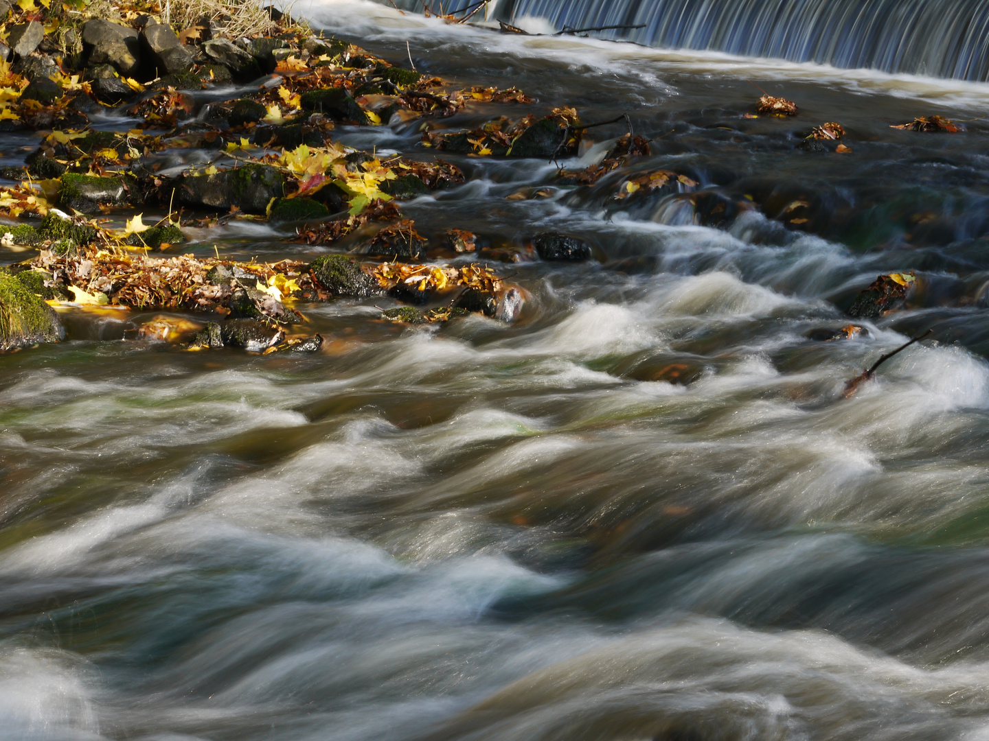 Herbstliche Stimmung am und im bewegten Wasser