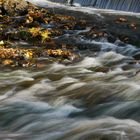 Herbstliche Stimmung am und im bewegten Wasser