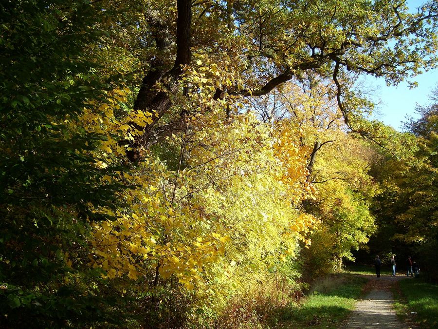 Herbstliche Stimmung am Waldrand.