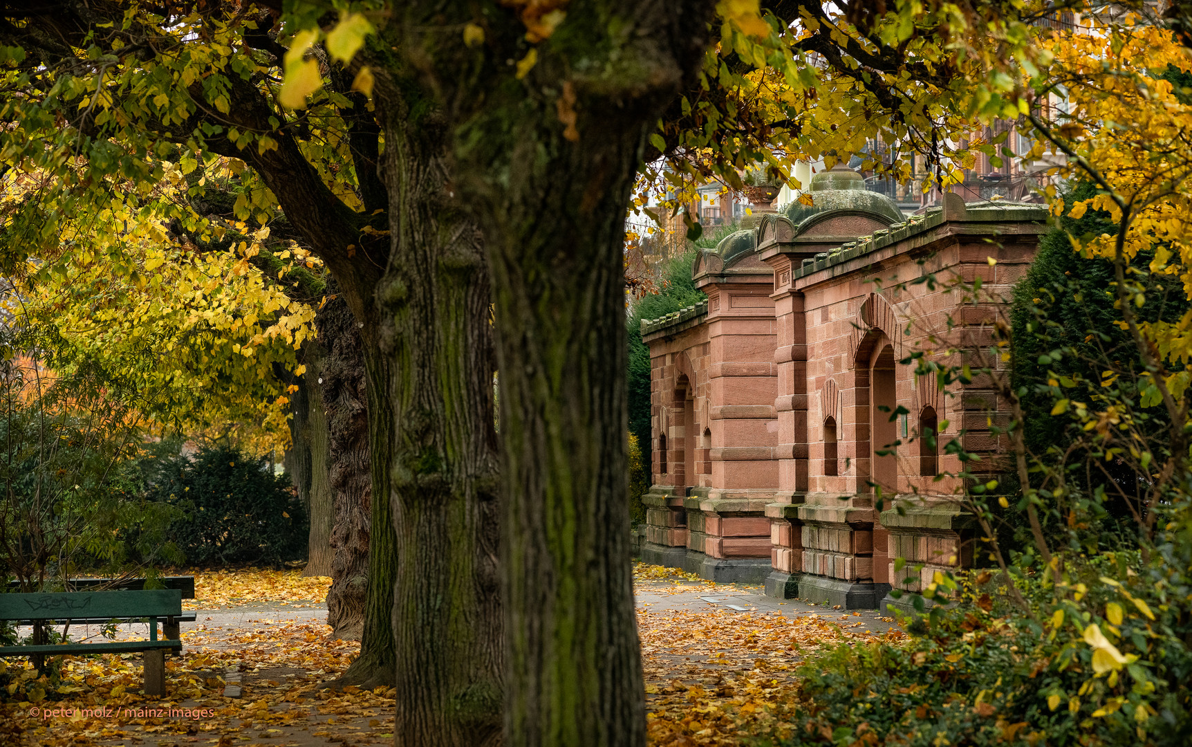 Herbstliche Stimmung am Weintor - Mainz | November 2021