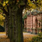 Herbstliche Stimmung am Weintor - Mainz | November 2021