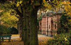 Herbstliche Stimmung am Weintor - Mainz | November 2021