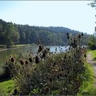 Herbstliche Stimmung am Wenigerweiher