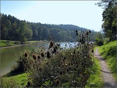 Herbstliche Stimmung am Wenigerweiher