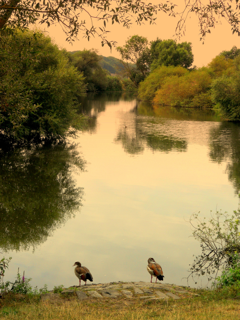 Herbstliche Stimmung an der Lahn..............