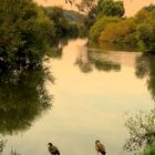 Herbstliche Stimmung an der Lahn..............