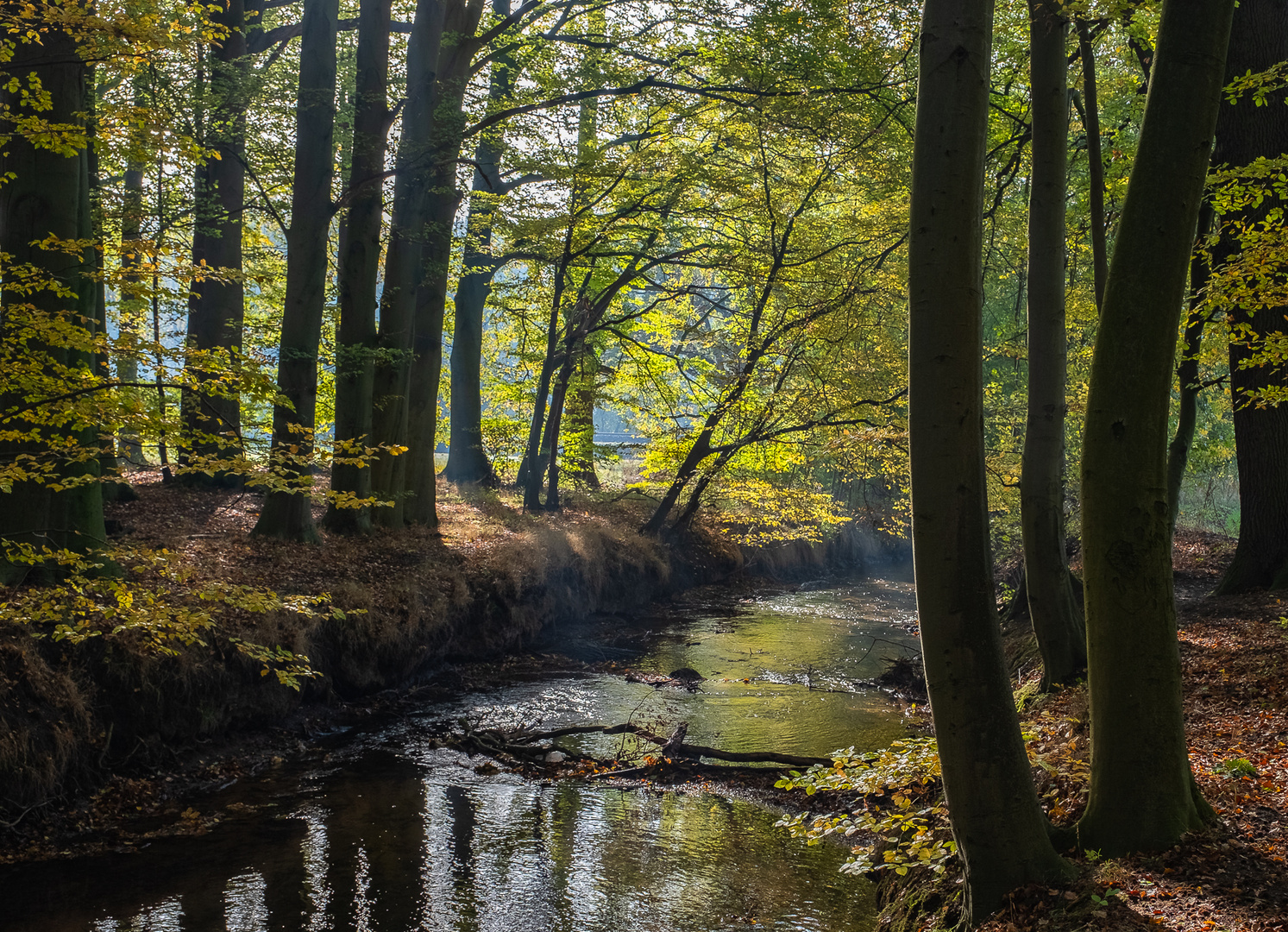 Herbstliche Stimmung an der Wierau-2