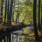 Herbstliche Stimmung an der Wierau-2