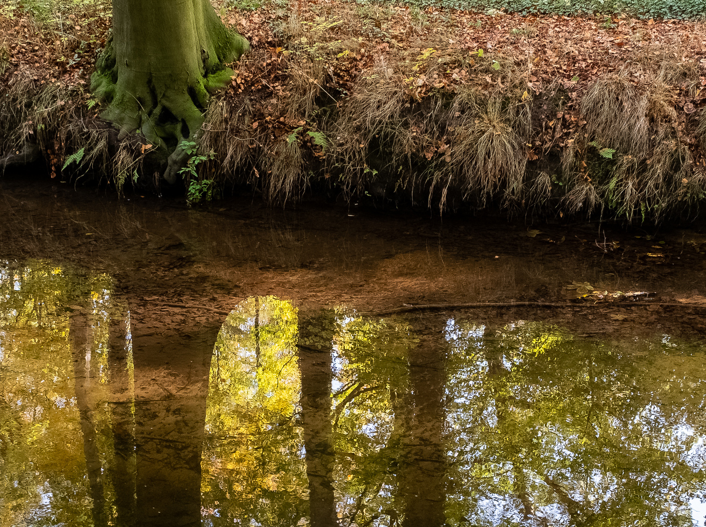 Herbstliche Stimmung an der Wierau-6