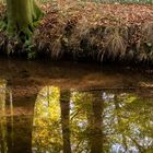 Herbstliche Stimmung an der Wierau-6