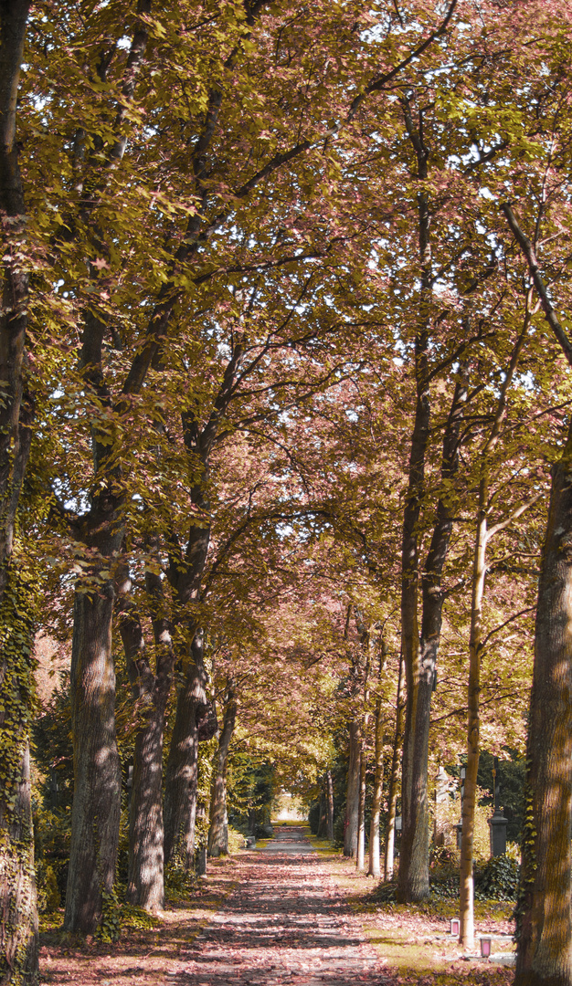 Herbstliche Stimmung auf dem Friedhof