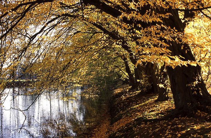 Herbstliche Stimmung