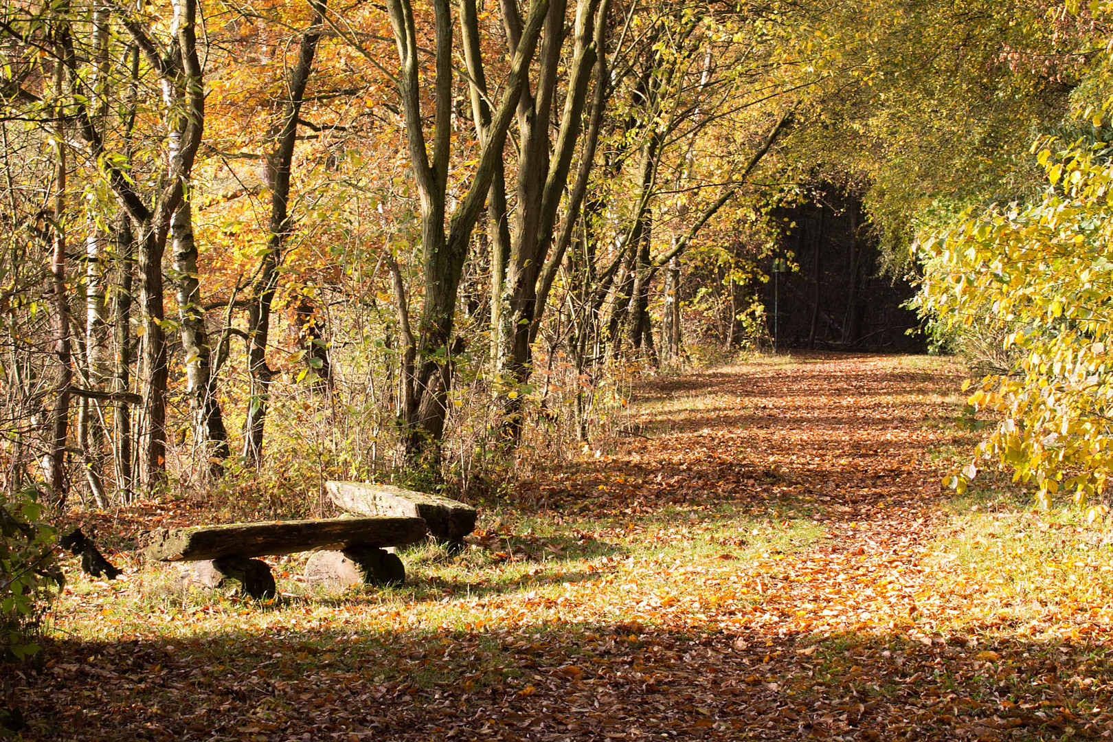 Herbstliche Stimmung