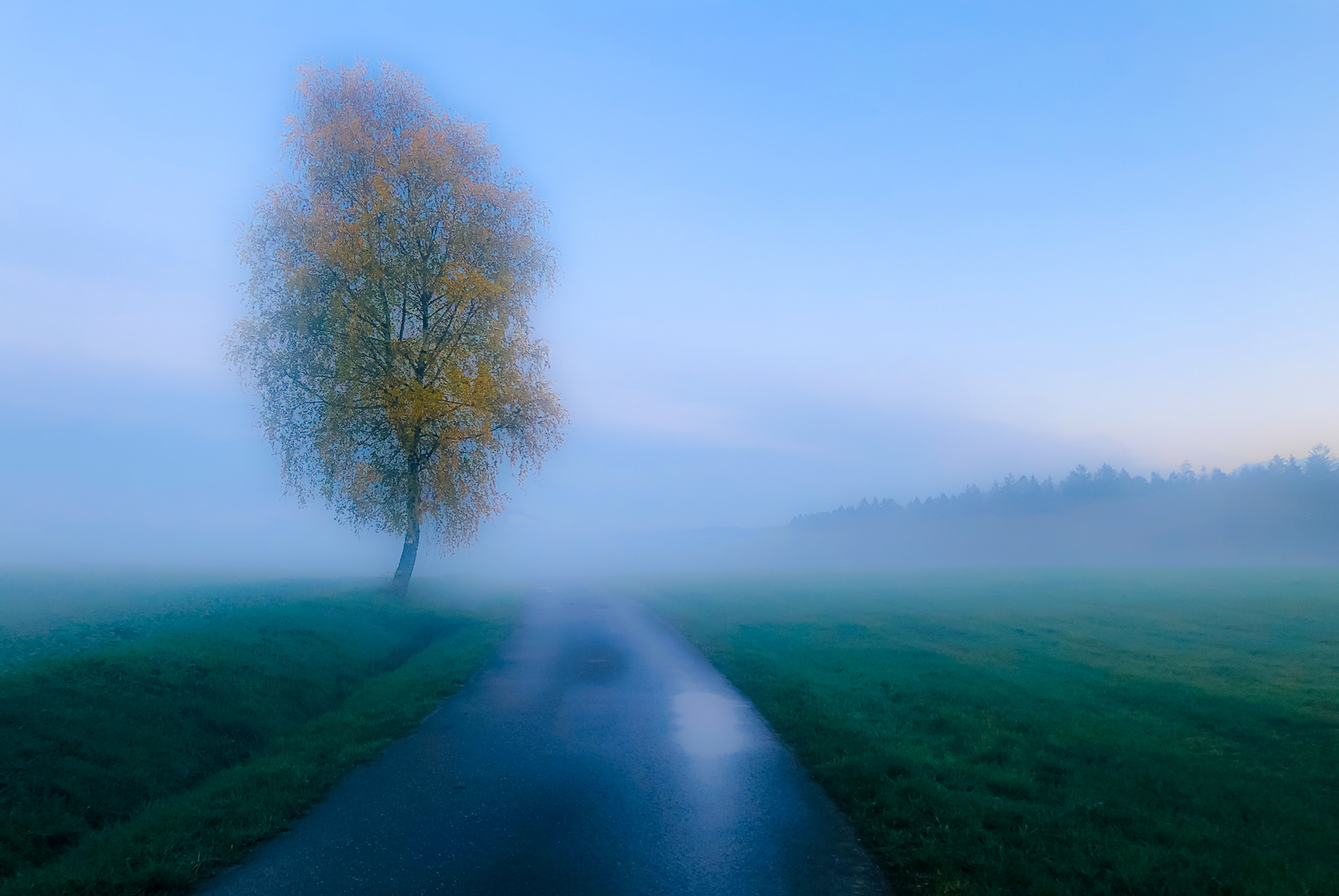 Herbstliche Stimmung...