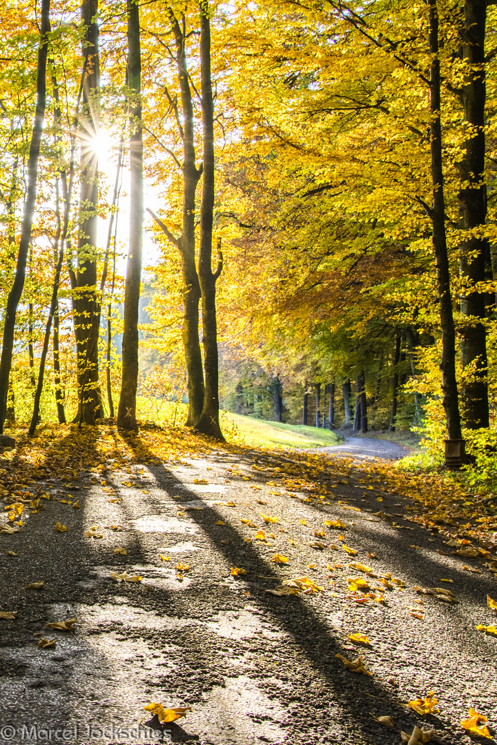 Herbstliche Stimmung