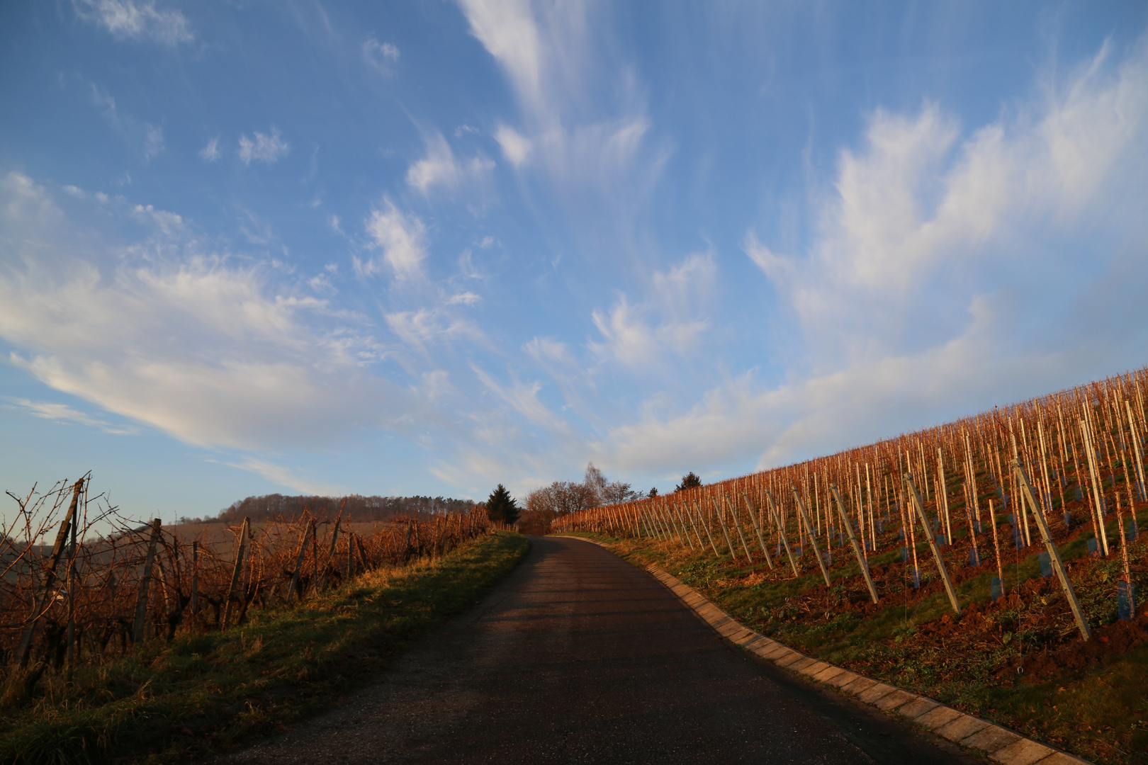 Herbstliche Stimmung