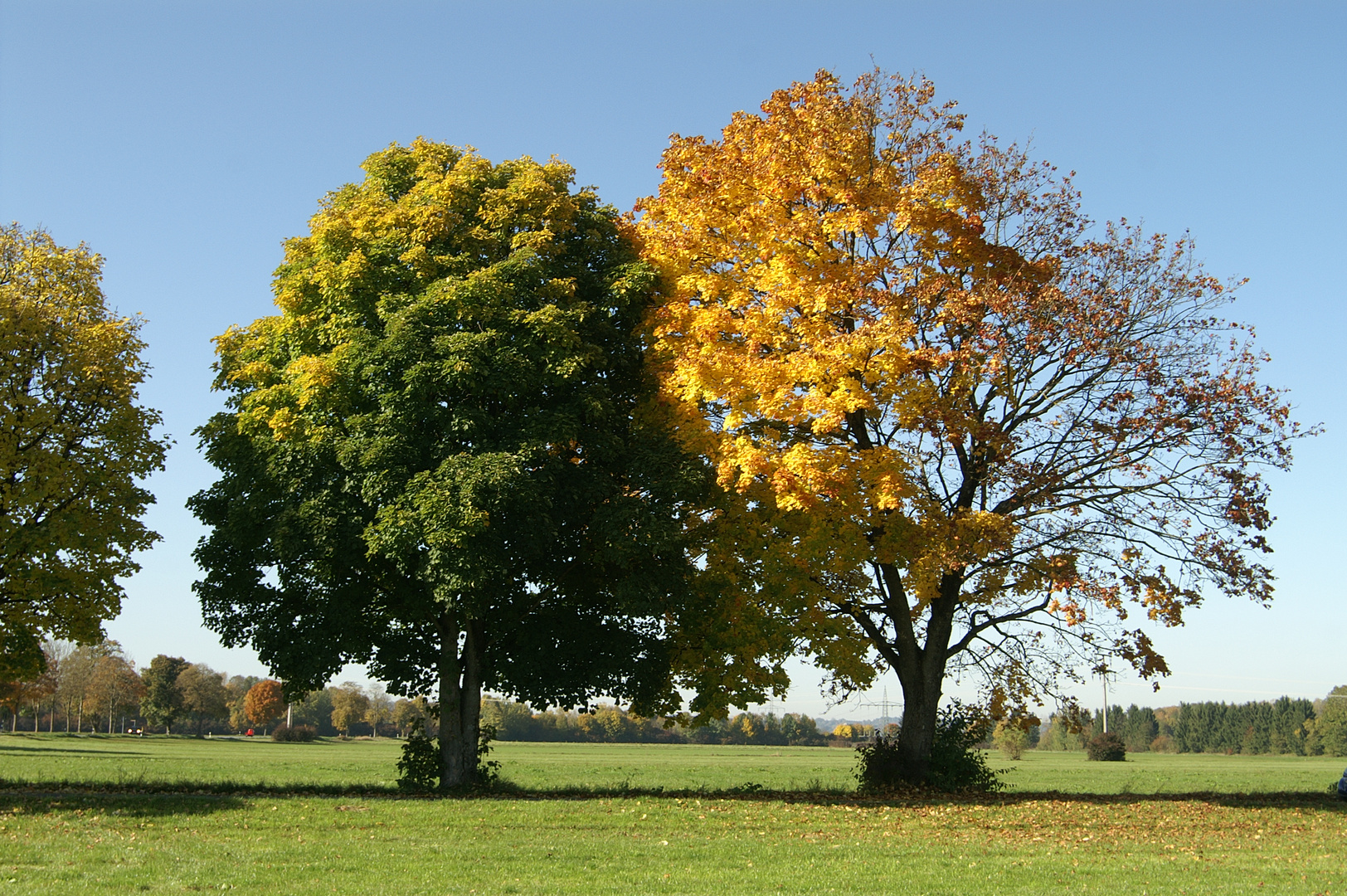 Herbstliche Stimmung