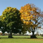 Herbstliche Stimmung