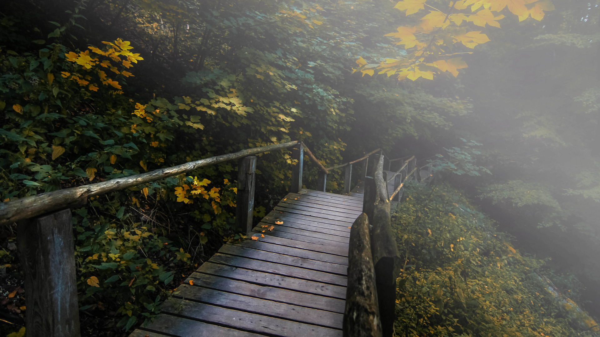 Herbstliche Stimmung