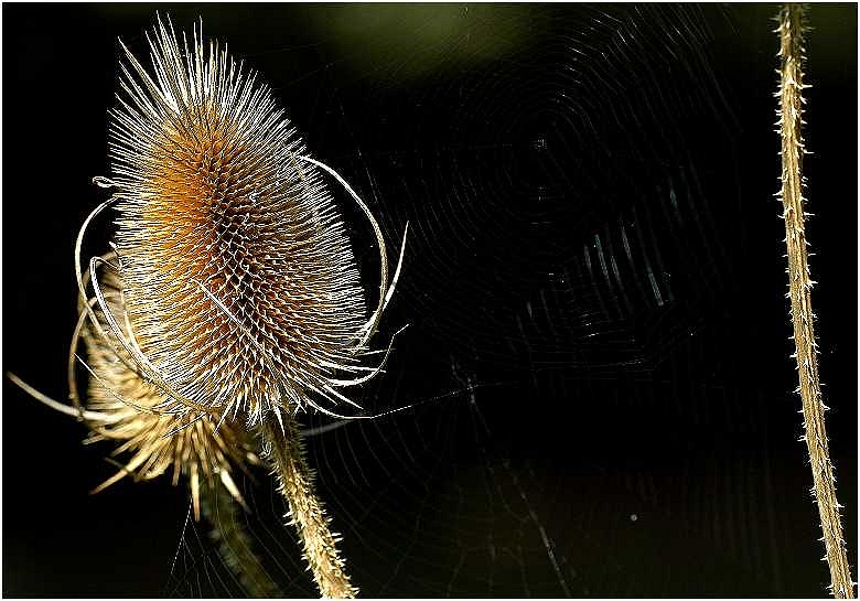 Herbstliche Stimmung...