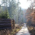 Herbstliche Stimmung im Arnsberger Wald