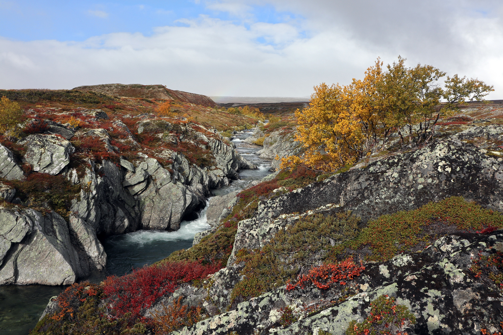 Herbstliche Stimmung im Dovrefjell