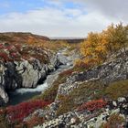 Herbstliche Stimmung im Dovrefjell