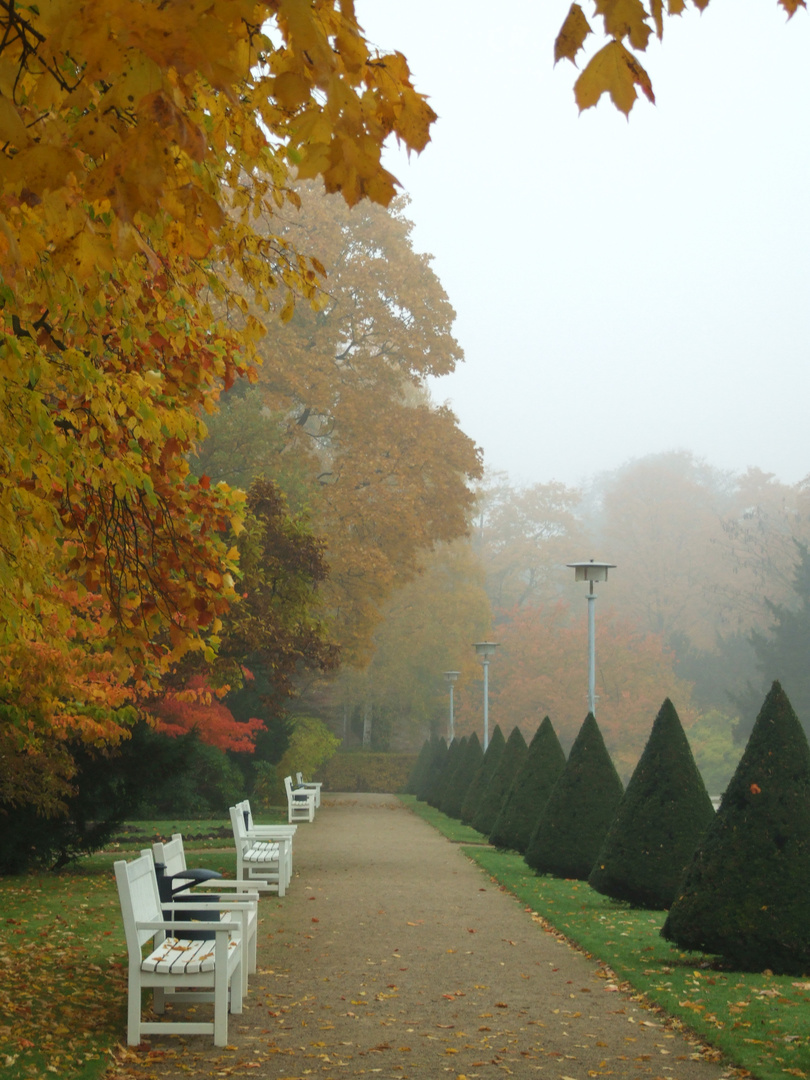 Herbstliche Stimmung im Großen Garten Dresden