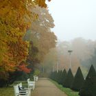 Herbstliche Stimmung im Großen Garten Dresden