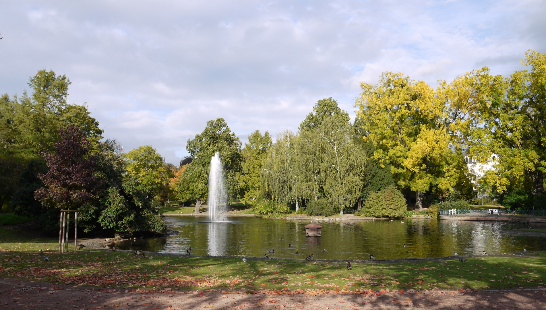 Herbstliche Stimmung im Park