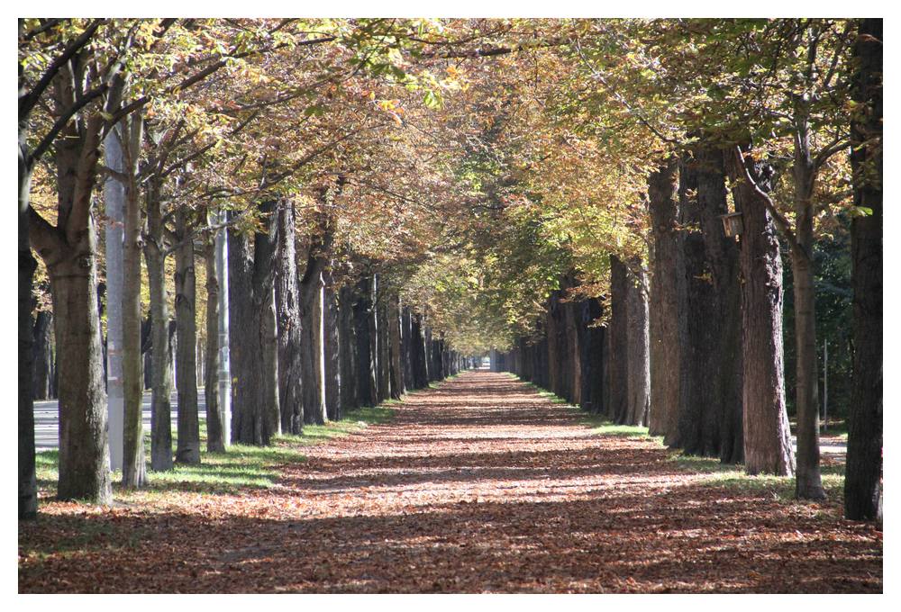 Herbstliche Stimmung im Prater