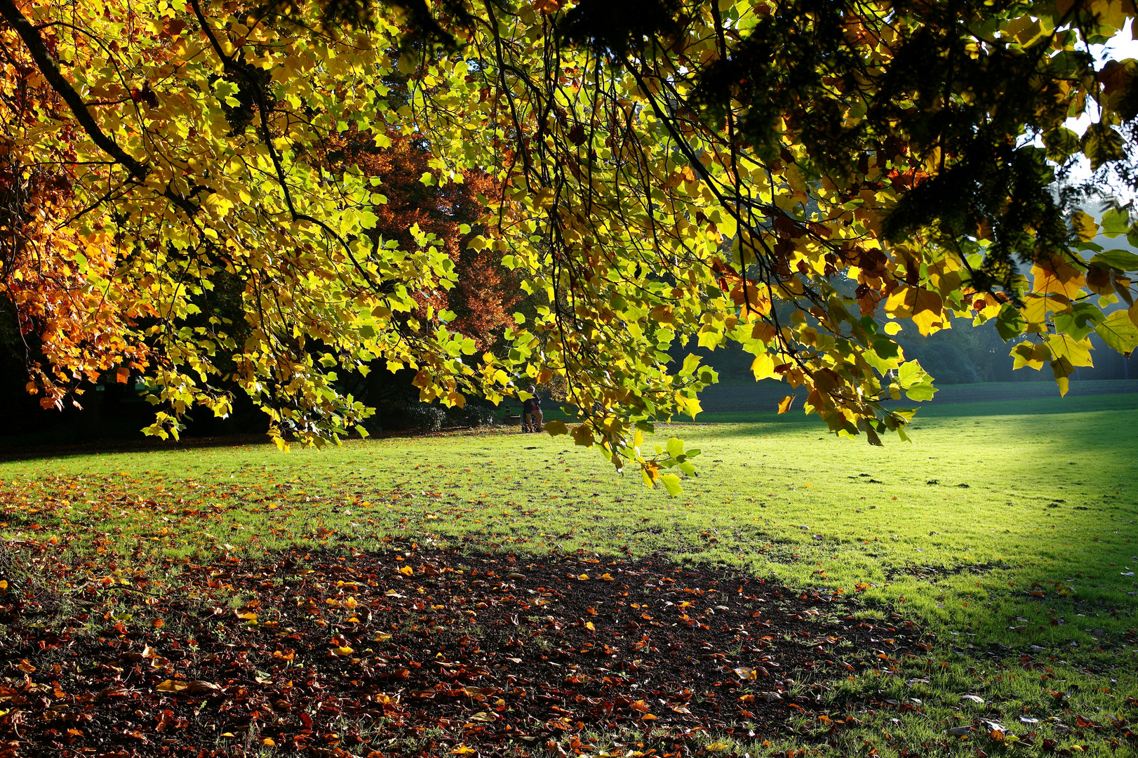 Herbstliche Stimmung im Schloßpark