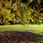 Herbstliche Stimmung im Schloßpark