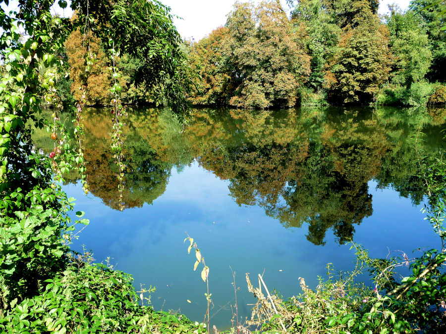 Herbstliche Stimmung im Spätsommer an der Lahn