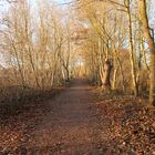 Herbstliche Stimmung in Falkensee