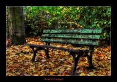 Herbstliche Stimmung in Frankfurt