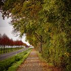 herbstliche Straße