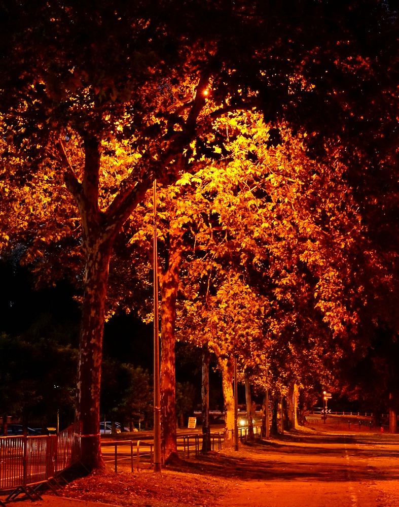 Herbstliche Strassenbeleuchtung