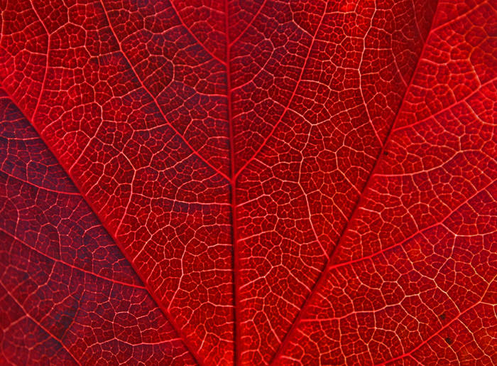 Herbstliche Straßenkarte