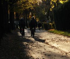 herbstliche Strassenszene II