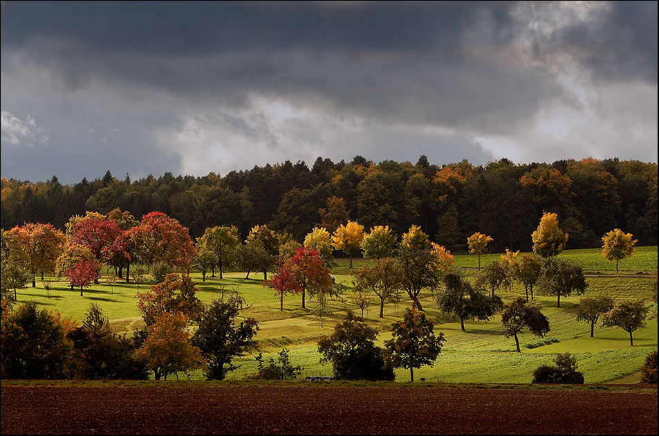 herbstliche Streuobstwiese