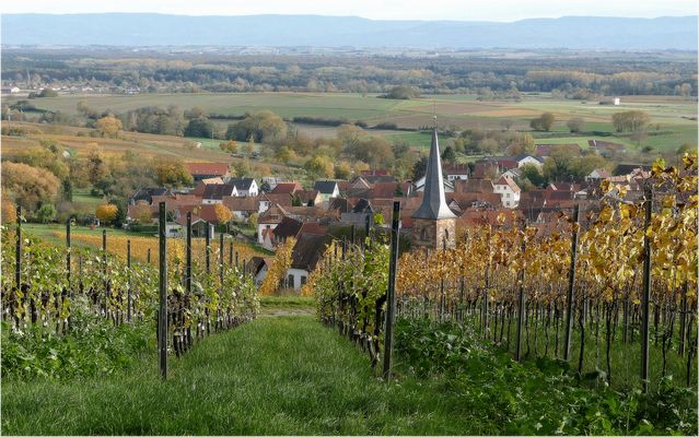 Herbstliche Südpfalz