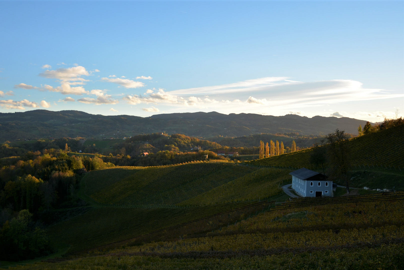 Herbstliche Südsteiermark