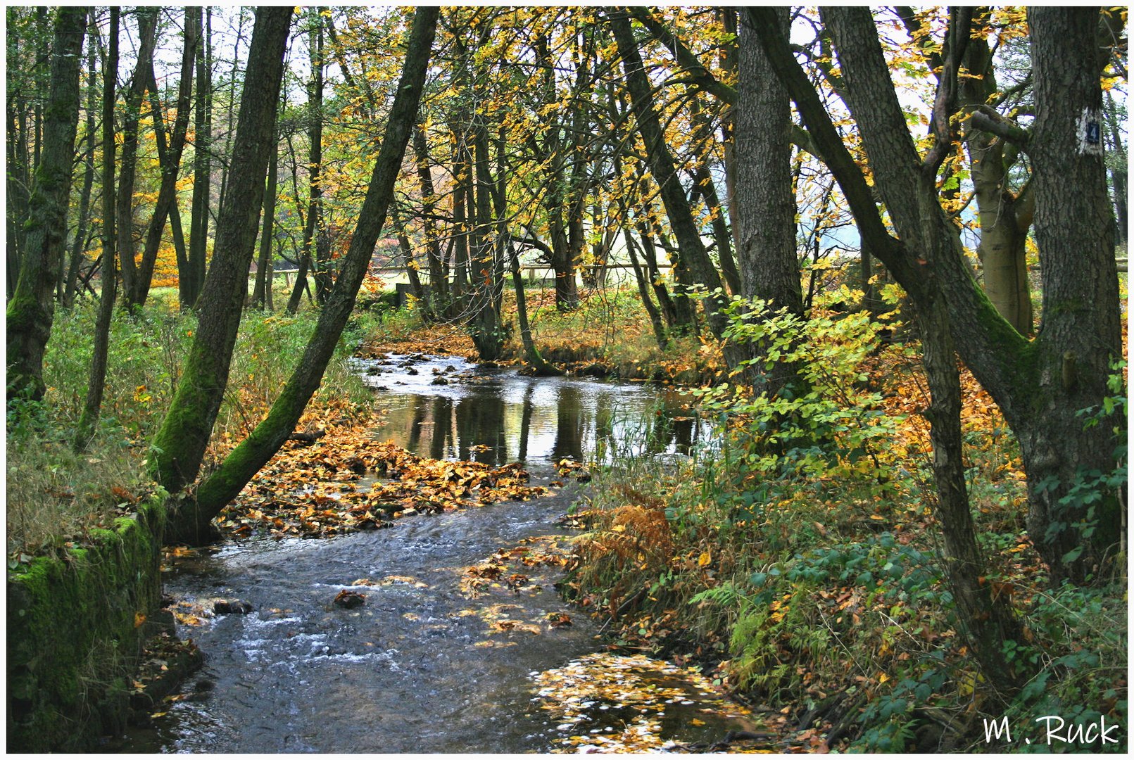 Herbstliche Szene am Bach ,