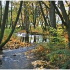 Herbstliche Szene am Bach ,